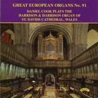 Great European Organs, Vol. 91