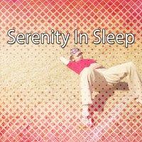 Serenity In Sleep
