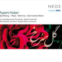 Rupert Huber: Nachklang (Rose), Wermut & Der kranke Mann