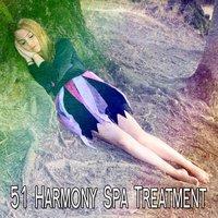 51 Harmony Spa Treatment