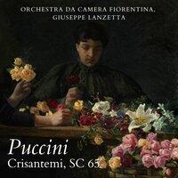 Puccini: Crisantemi, SC 65