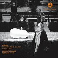 Brahms: Complete String Quartets & Piano Quintet