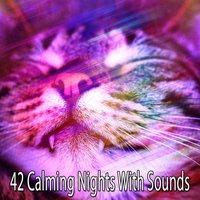 42 Calming Nights With Sounds