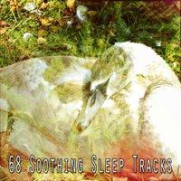 68 Soothing Sleep Tracks