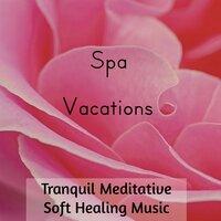 Spa Vacations - Tranquil Meditative Soft Healing Music for Deep Concentration Mental Exercises with Binaural Relaxing New Age Sounds