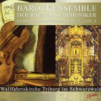 Baroque Ensemble of the Vienna Symphony Orchestra