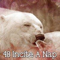 48 Incite a Nap