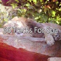 66 Tracks For Spa