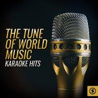 The Tune Of World Music Karaoke Hits