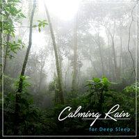 #21 Calming Rain Tracks for Deep Sleep
