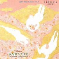 Schubert: Andante - After-hours Classic, Vol. 1