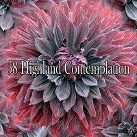 58 Highland Contemplation