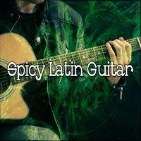 Spicy Latin Guitar