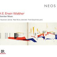 Walther: Chamber Music