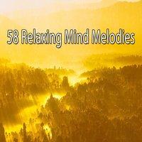 58 Relaxing Mind Melodies