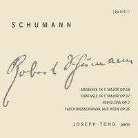 R. Schumann: Works for Piano