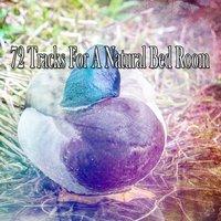 72 Tracks For A Natural Bed Room