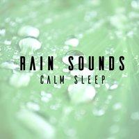 Rain Sounds: Calm Sleep