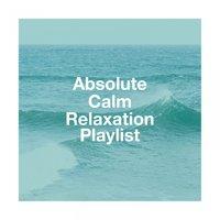 Absolute calm relaxation playlist