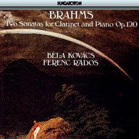 Brahms: Sonatas for Clarinet and Piano Nos. 1 and 2