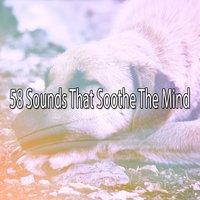 58 Sounds That Soothe The Mind