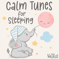 Calm Tunes for Sleeping