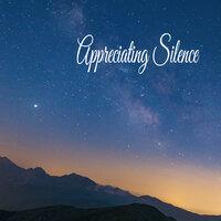 Appreciating Silence