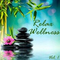 Relax Wellness, Vol. 1