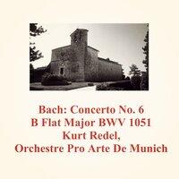Bach: Concerto No. 6 B Flat Major BWV 1051