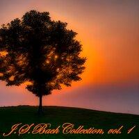 J. S. Bach Collection, Vol. 1