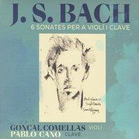 Bach 6 Sonates per a Violí i Clave