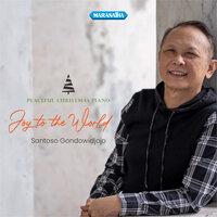 Peaceful Christmas Piano - Joy To The World