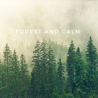 Forest And Calm