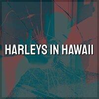 Harleys In Hawaiai