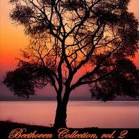 Collection of the Symphony n. 2 by Beethoven