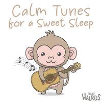 Calm Tunes For A Sweet Sleep