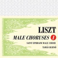Liszt: Male Choruses, Vol. I