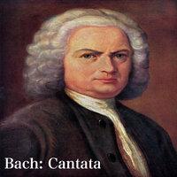Bach: Cantata