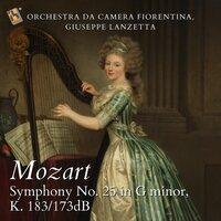 Mozart: Symphony No. 25 in G Minor, K. 183/173DB