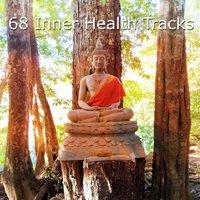 68 Inner Health Tracks