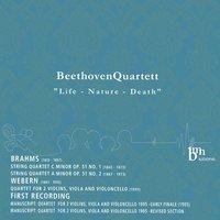 Webern & Brahms: Works for String Quartet