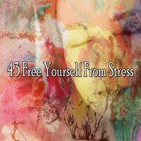 43 Free Yourself from Stress