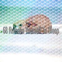 68 Release Yourself to Sleep