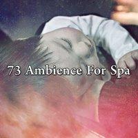 73 Ambience For Spa