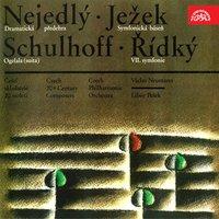 Nejedlý, Ježek, Schulhoff, Řídký: Czech 20th Century Composers