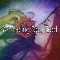 67 Feeling Dog Tired