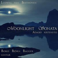 Sonata No. 14 "Moonlight" In C-Sharp Minor, Op. 27 No.2: I. Adagio Sostenuto (Arr. B.Bagger For Guitars)