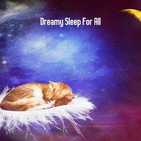 Dreamy Sleep For All