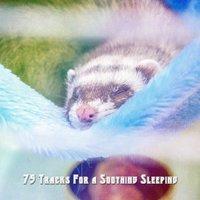 75 Tracks For a Soothing Sleeping