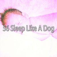 56 Sleep Like a Dog